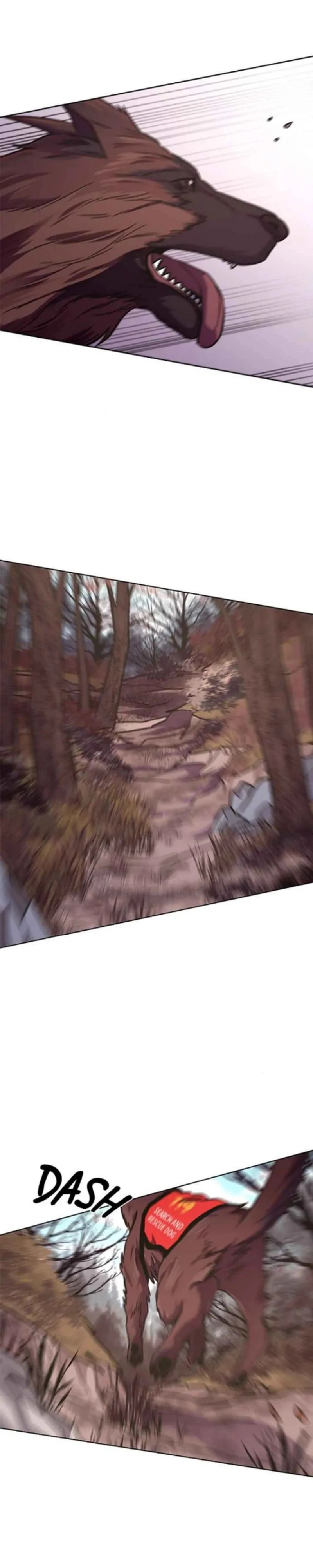 1 Segundo Capítulo 221 Página 9
