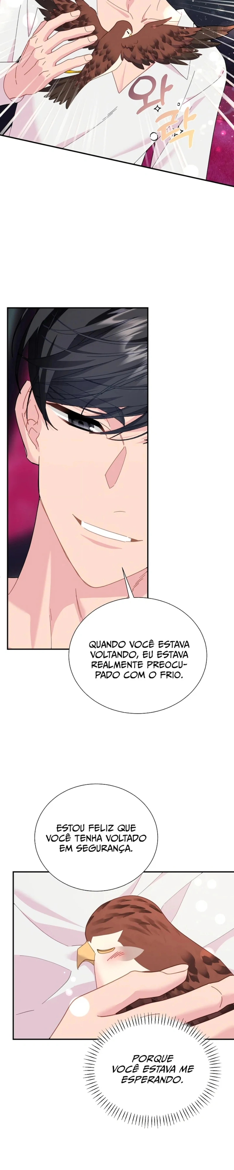 A Princesa Falcão Capítulo 120 Página 4