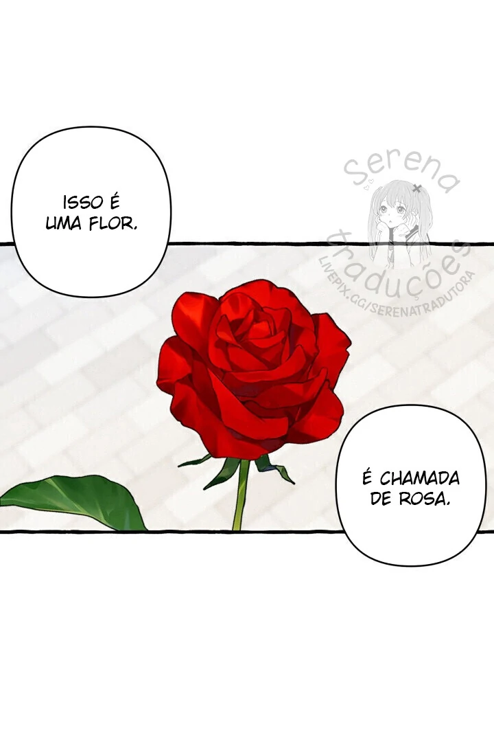 A Sereia e o Pirata Capítulo 28 Página 42