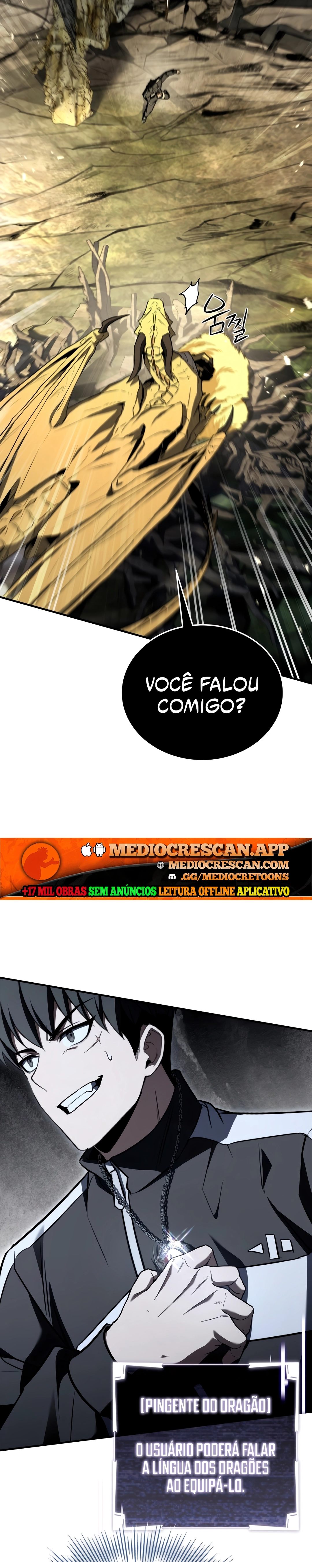 Acumulador de Características Capítulo 66 Página 33