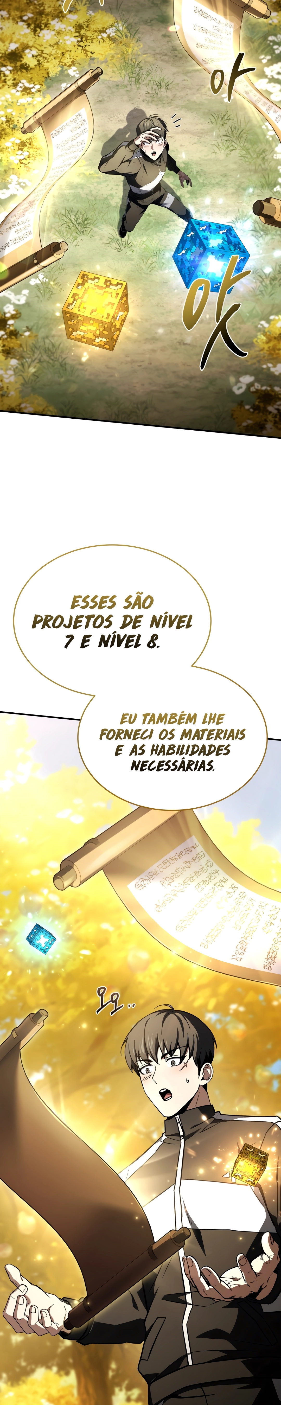Acumulador de Características Capítulo 67 Página 20