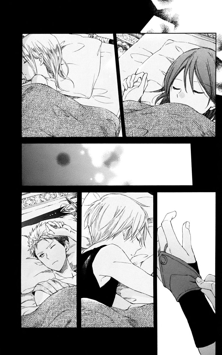 Akagami no Shirayukihime Capítulo 31 Página 27