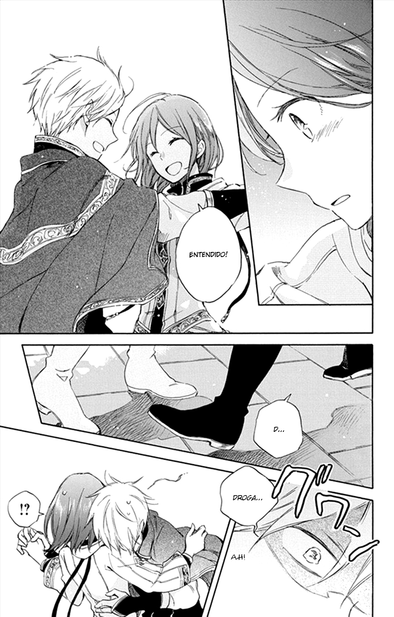 Akagami no Shirayukihime Capítulo 67 Página 29