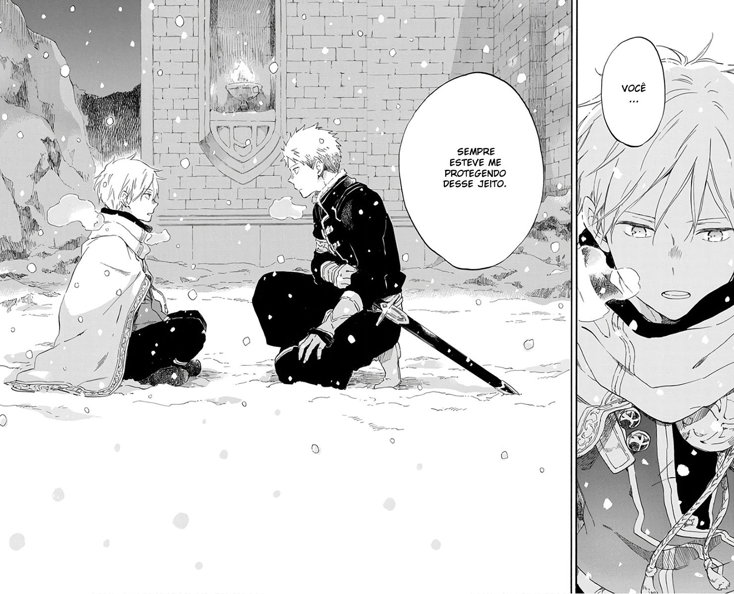 Akagami no Shirayukihime Capítulo 98 Página 16