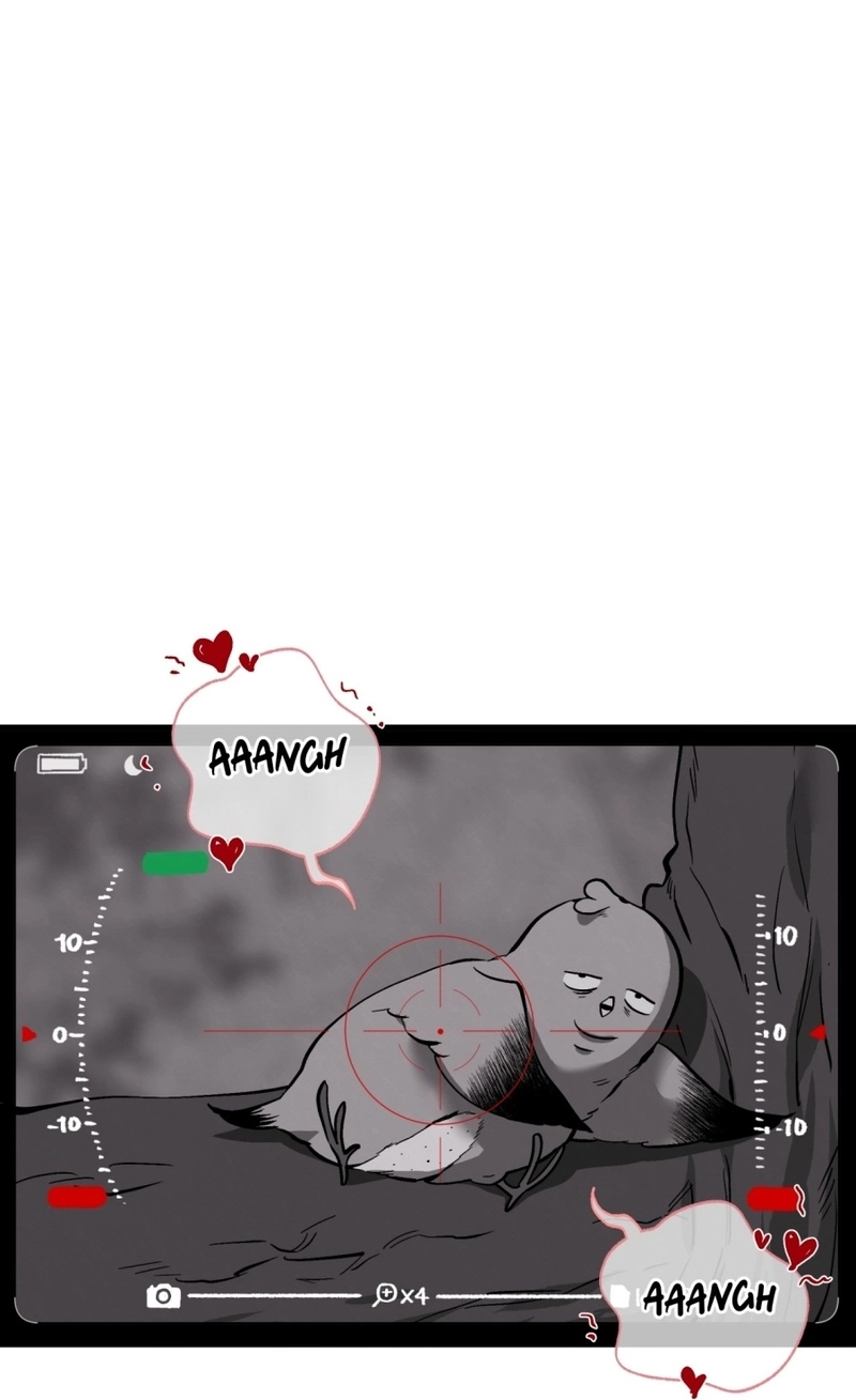 Amor de Urso Capítulo 82 Página 41