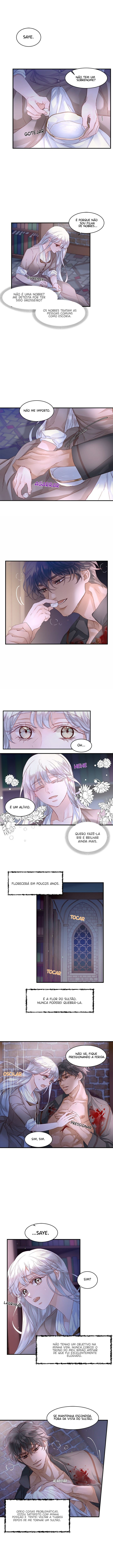 Amor do Sultão Capítulo 11 Página 7