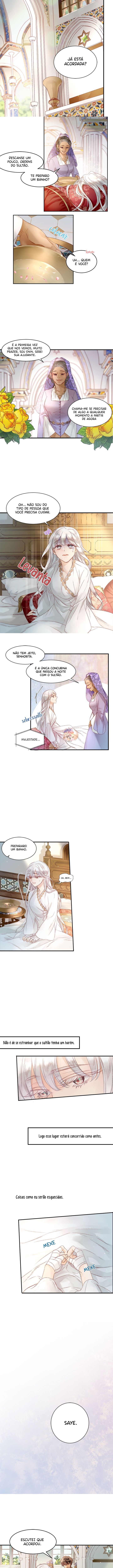 Amor do Sultão Capítulo 6 Página 5