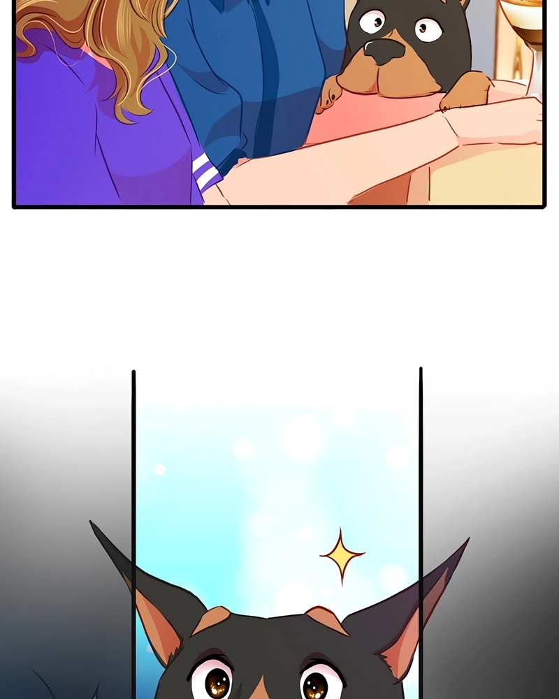 Amor Em 4 Patas Capítulo 51 Página 41