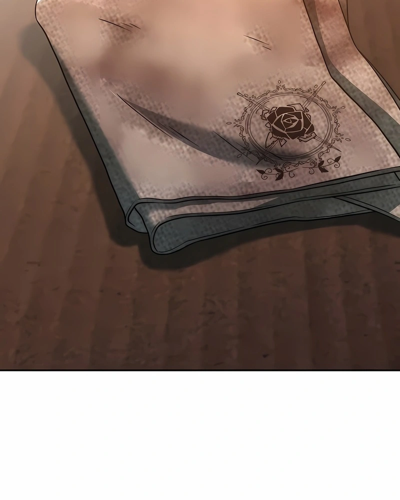 Arquimago Transcendido Pela Regressão Capítulo 100 Página 9