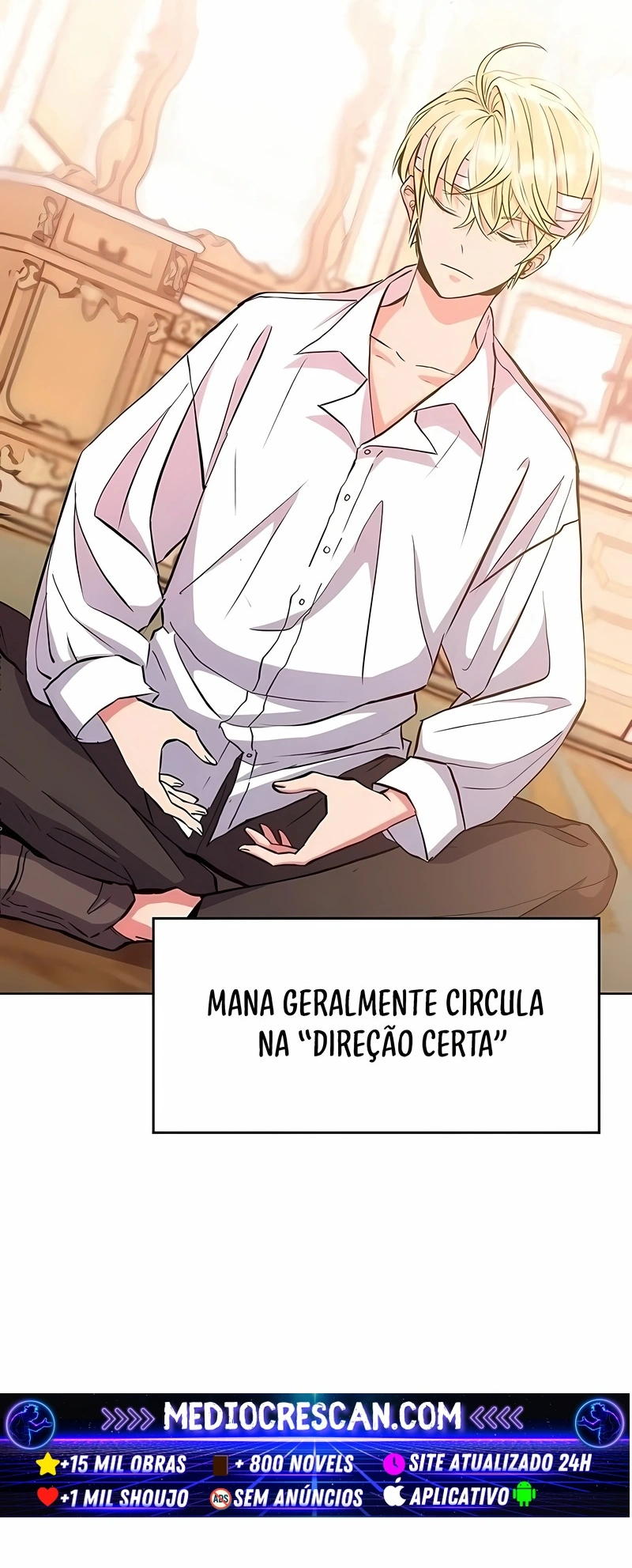 Arquimago Transcendido Pela Regressão Capítulo 2 Página 8