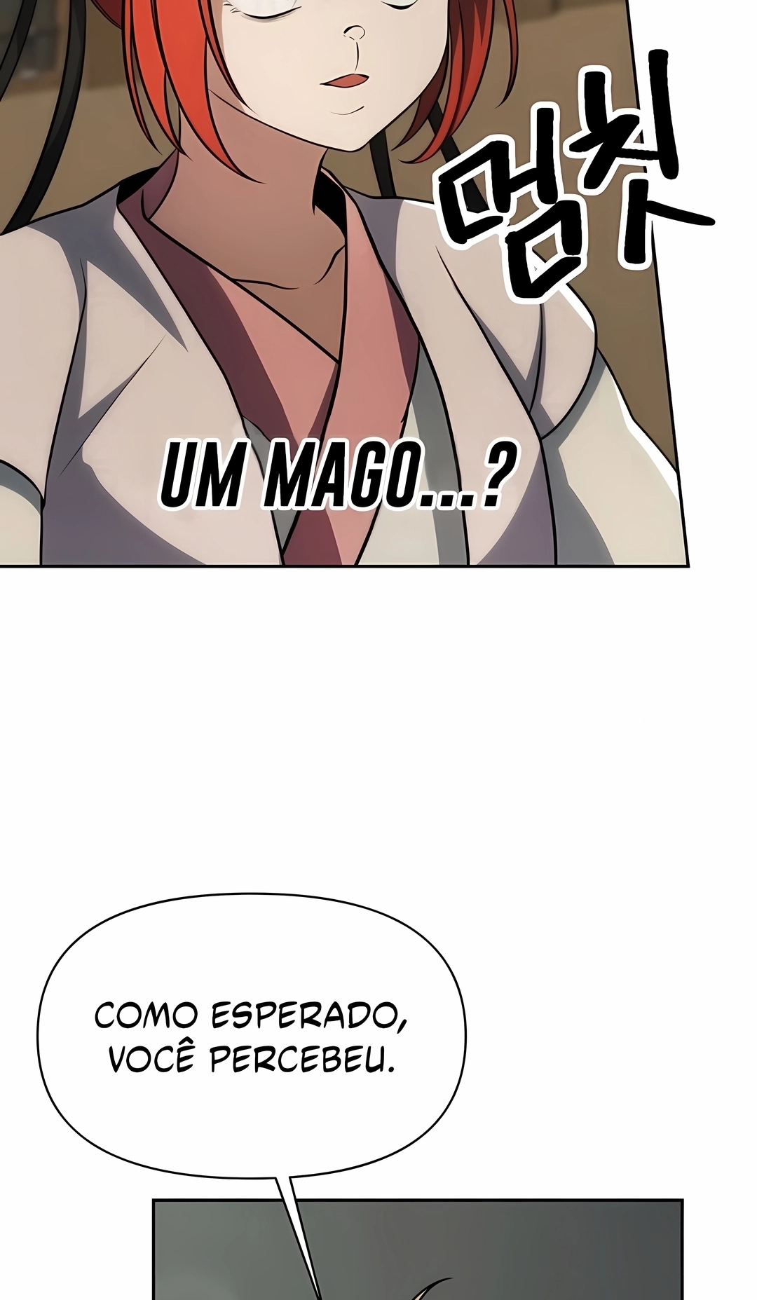 Arquimago Transcendido Pela Regressão Capítulo 203 Página 5