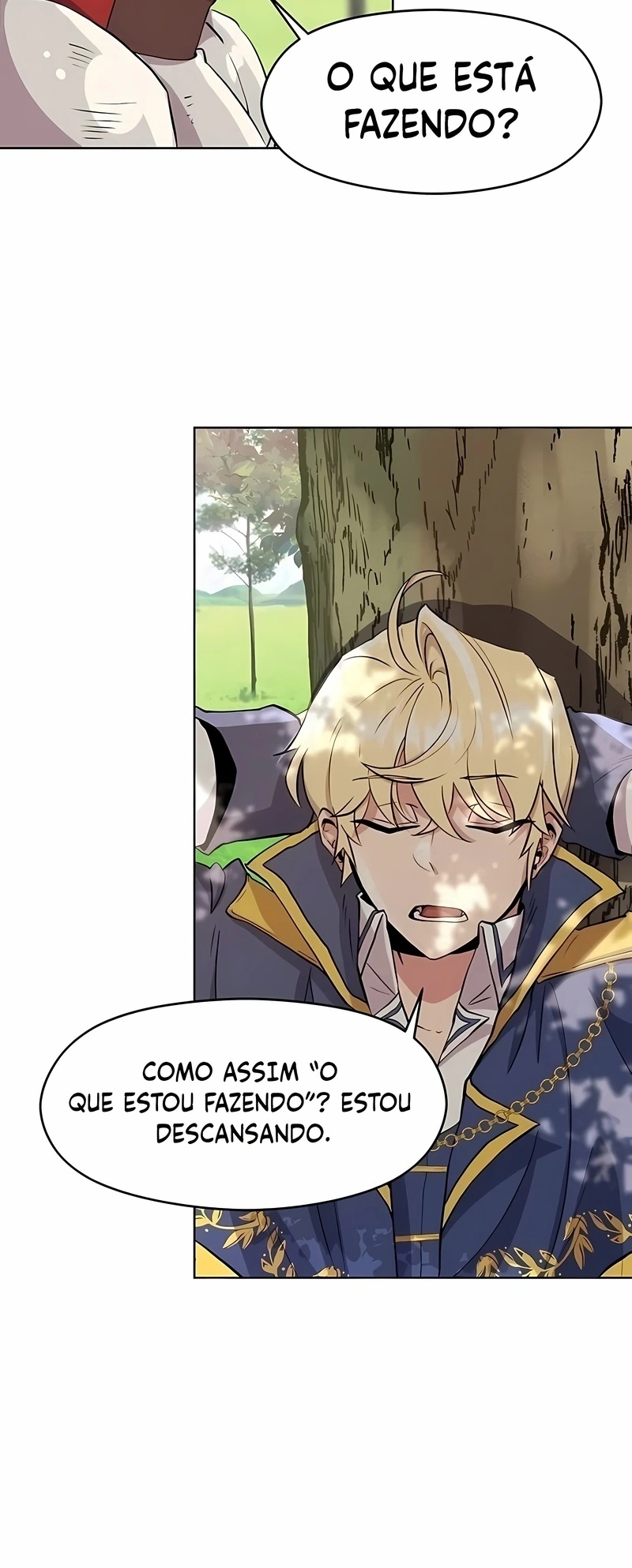 Arquimago Transcendido Pela Regressão Capítulo 3 Página 11