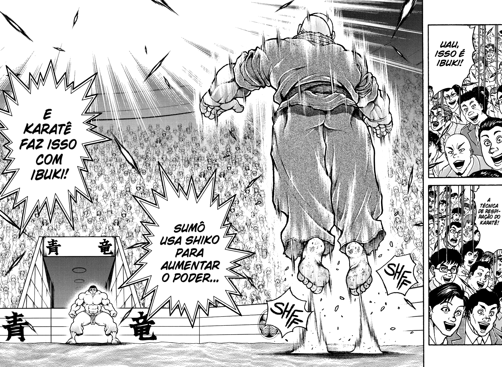 Baki's Way: "Nomi no Sukune" Arc Capítulo 132 Página 14