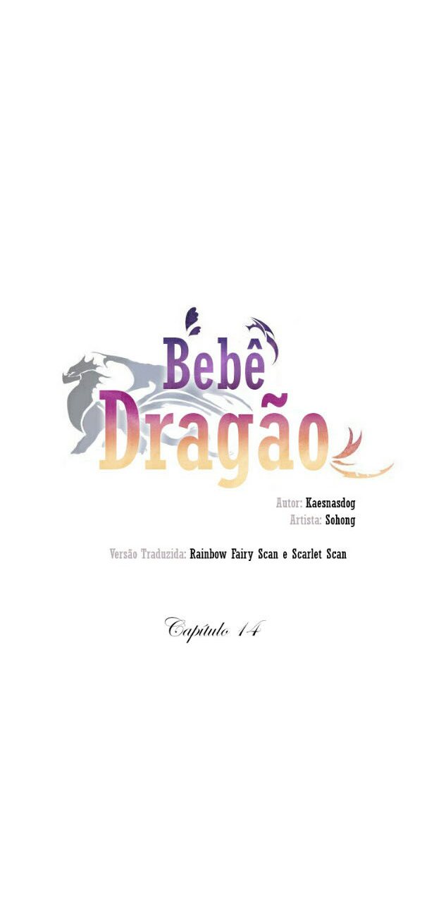 Bebê Dragão Capítulo 14 Página 13