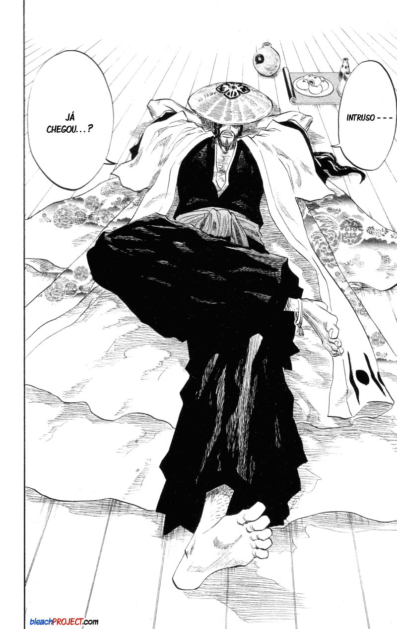 Bleach Capítulo 102 Página 14