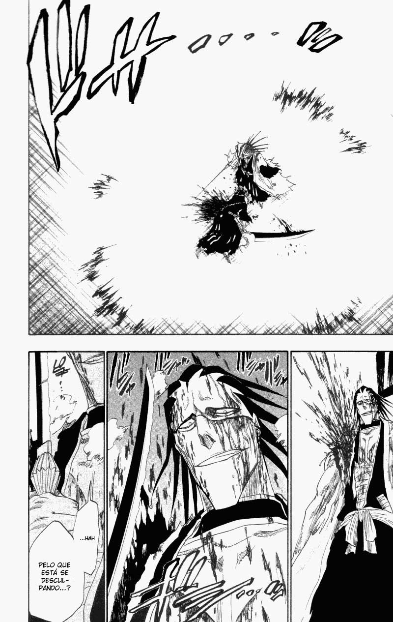 Bleach Capítulo 113 Página 17