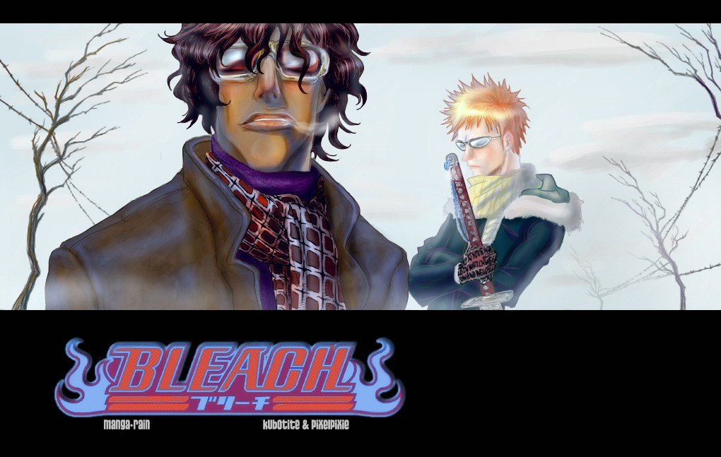 Bleach Capítulo 113 Página 20