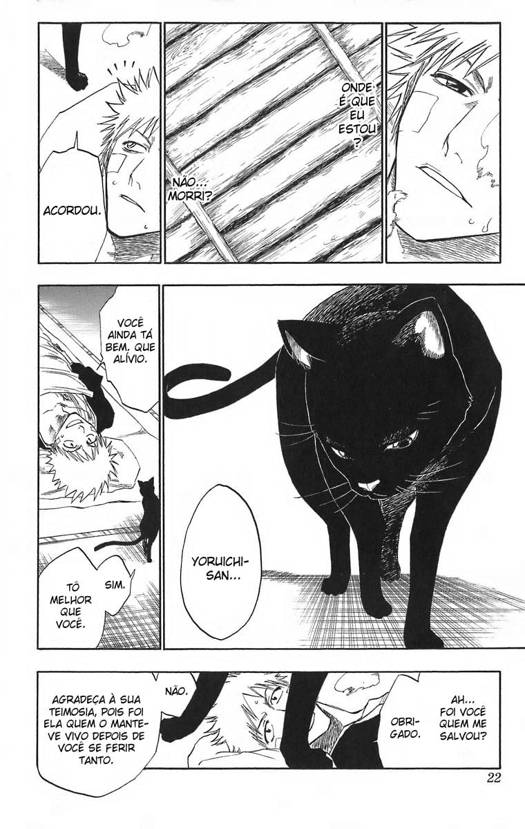 Bleach Capítulo 116 Página 16