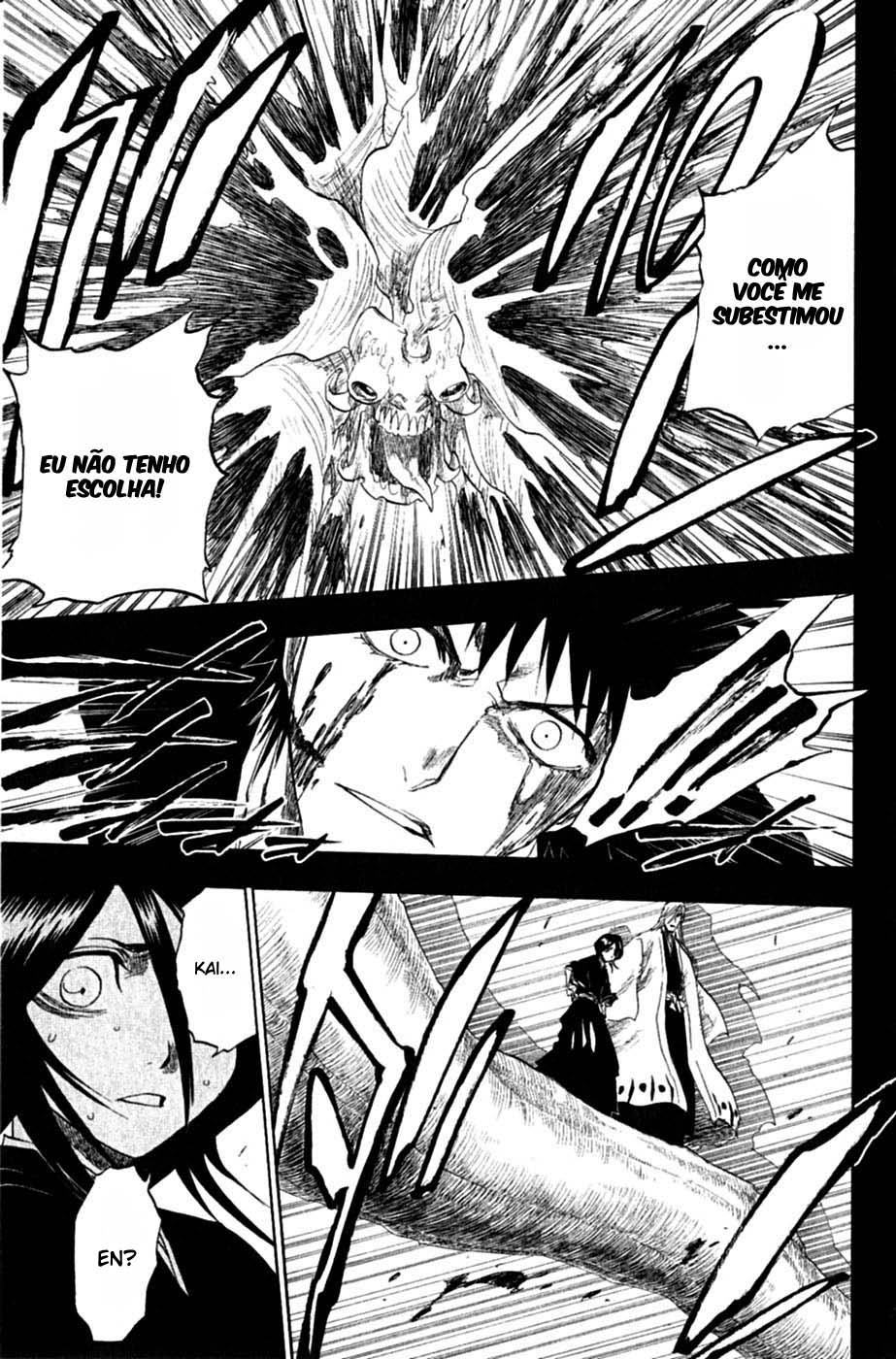 Bleach Capítulo 135 Página 17