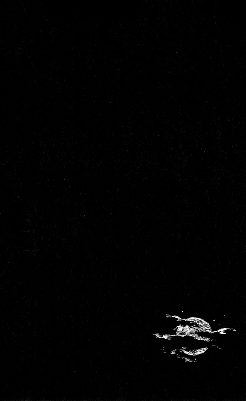Bleach Capítulo 135 Página 20