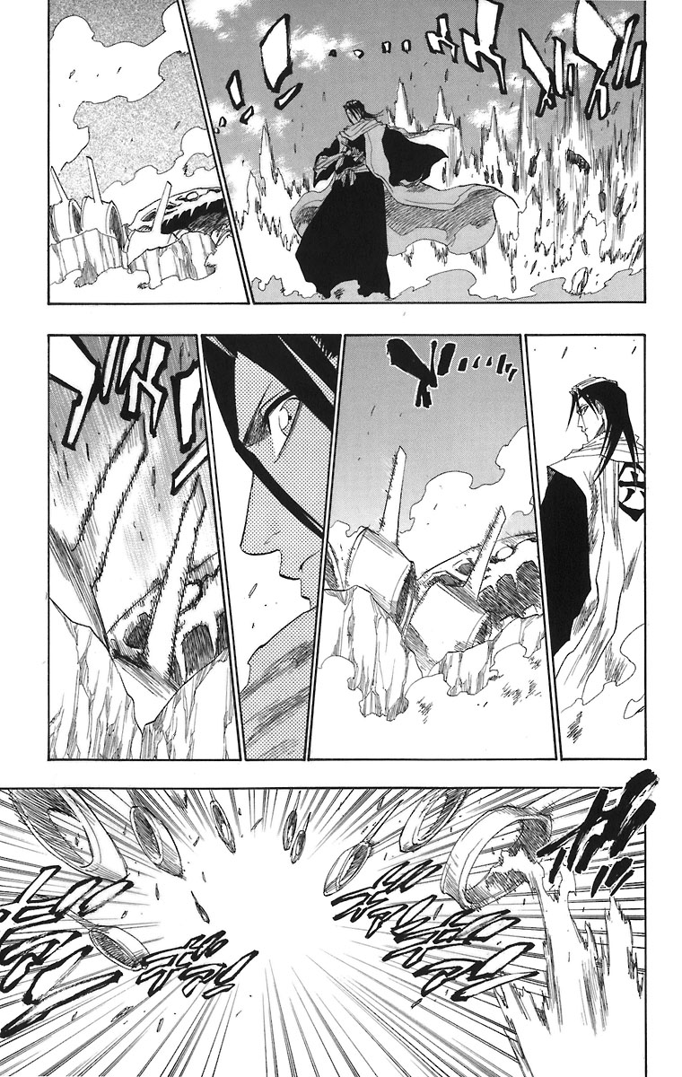 Bleach Capítulo 141 Página 14