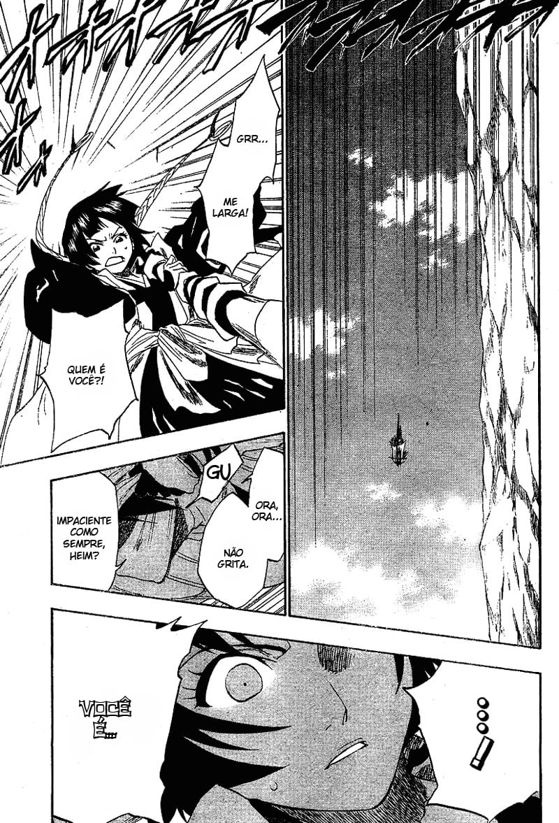 Bleach Capítulo 153 Página 17