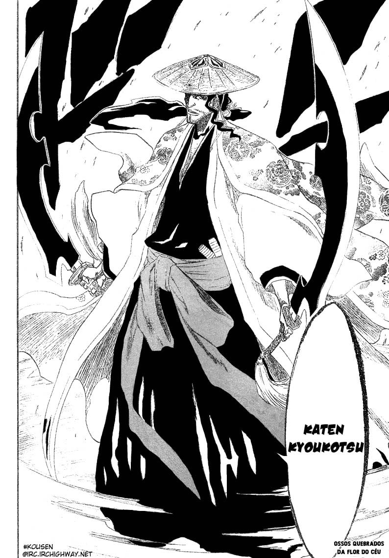 Bleach Capítulo 156 Página 13