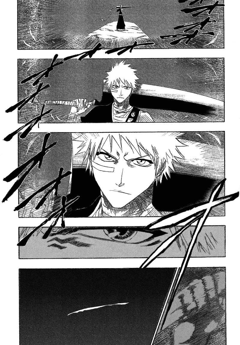 Bleach Capítulo 160 Página 17