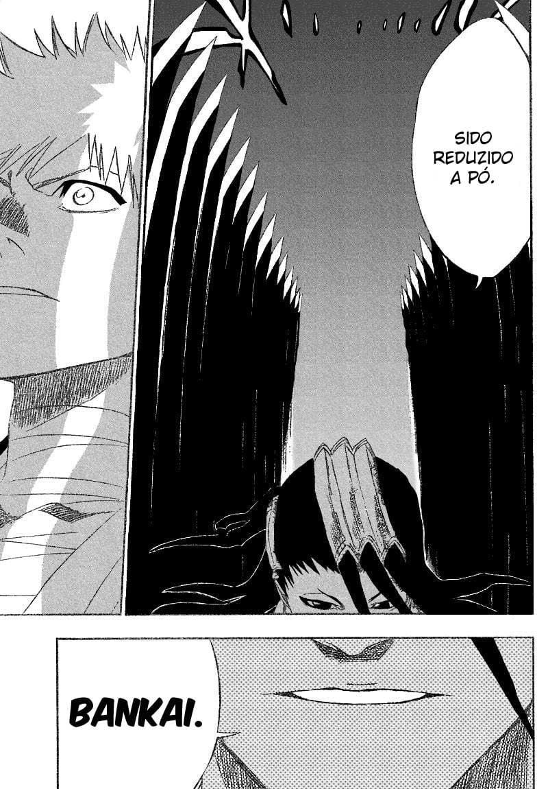 Bleach Capítulo 161 Página 11