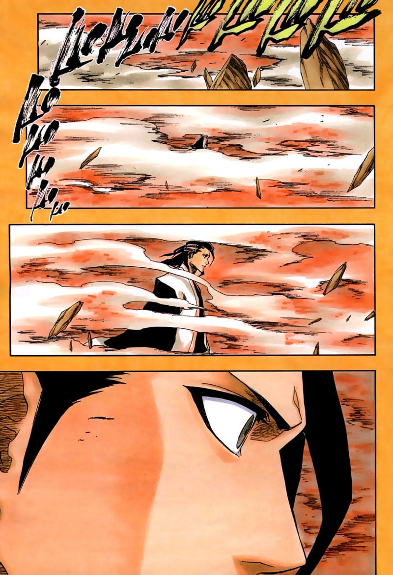 Bleach Capítulo 162 Página 11