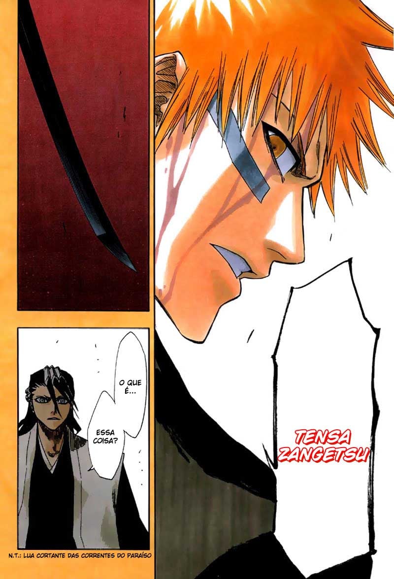 Bleach Capítulo 162 Página 13