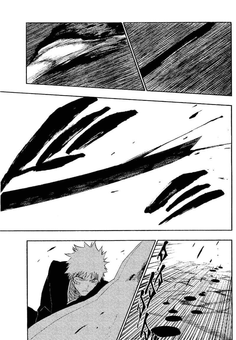 Bleach Capítulo 163 Página 17