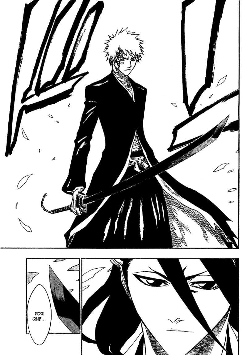 Bleach Capítulo 163 Página 3