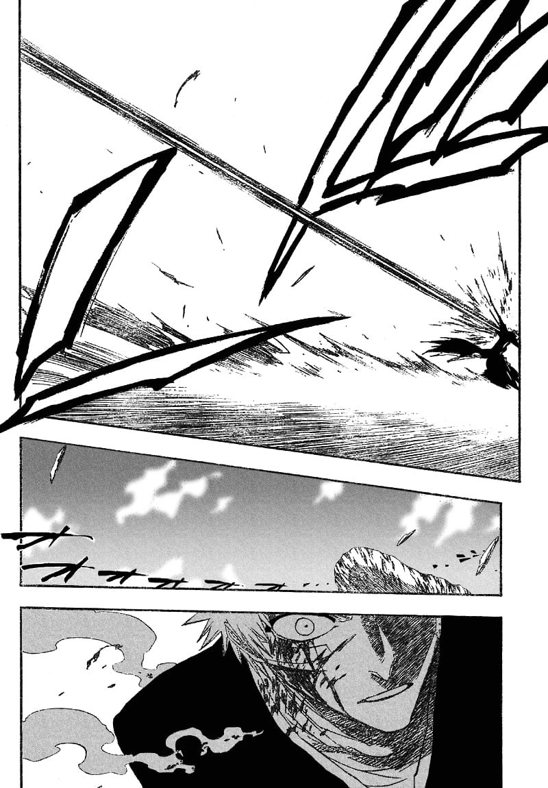 Bleach Capítulo 165 Página 11