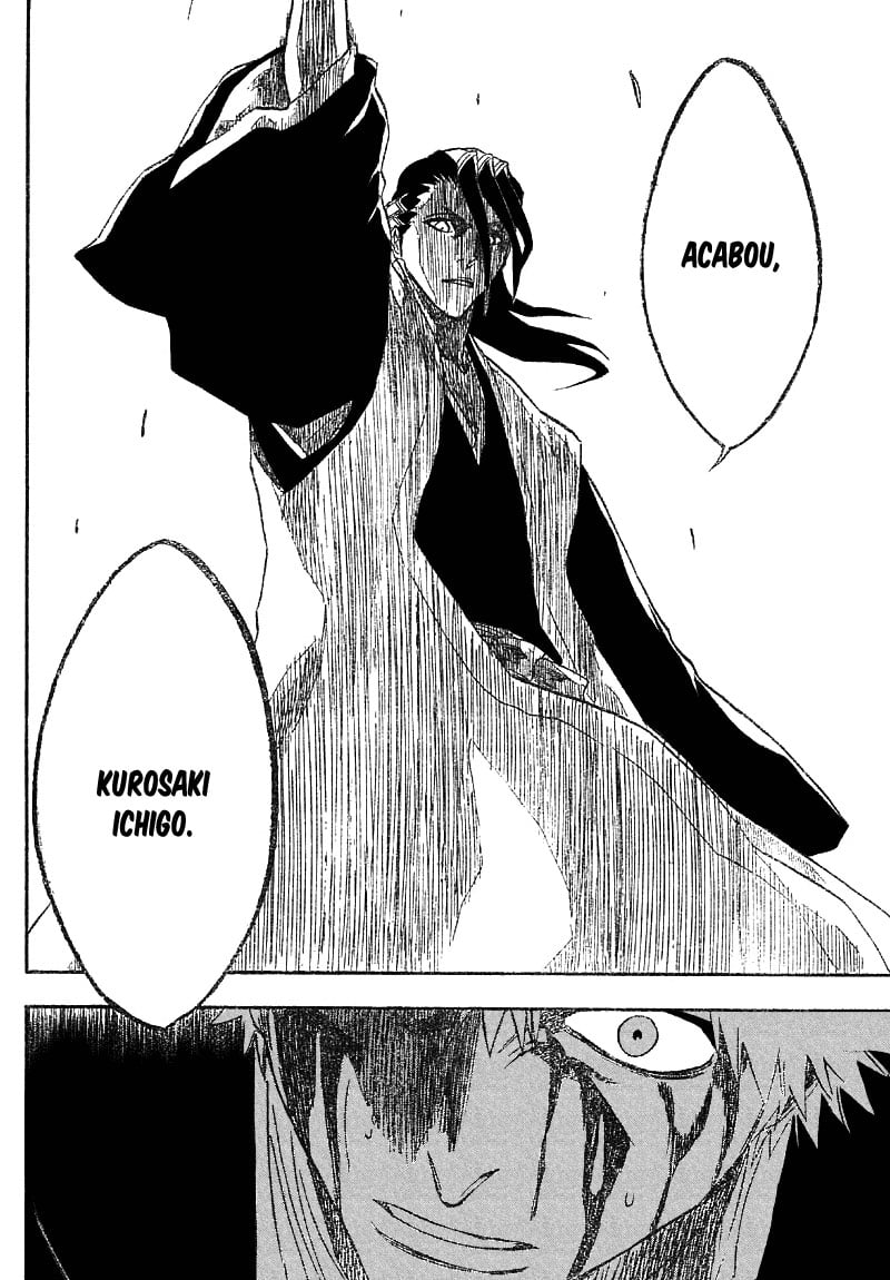 Bleach Capítulo 165 Página 15