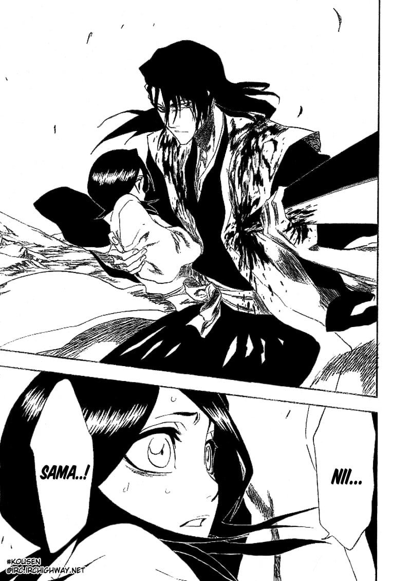 Bleach Capítulo 176 Página 26