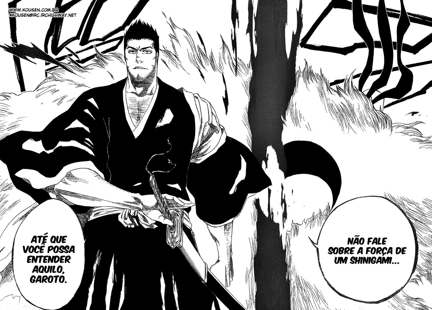 Bleach Capítulo 187 Página 17