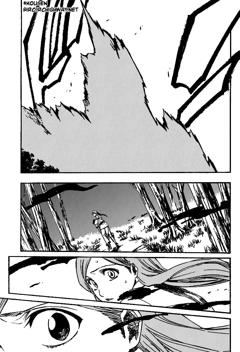 Bleach Capítulo 191 Página 17