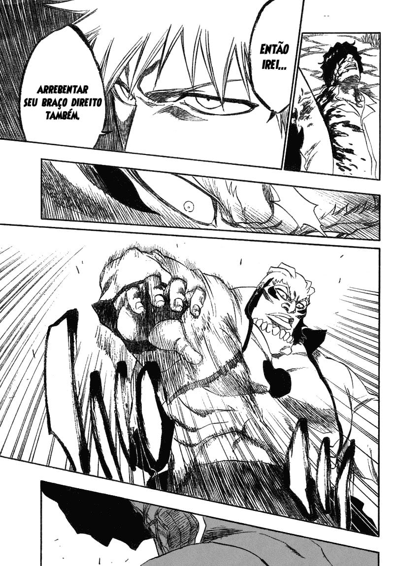 Bleach Capítulo 193 Página 10