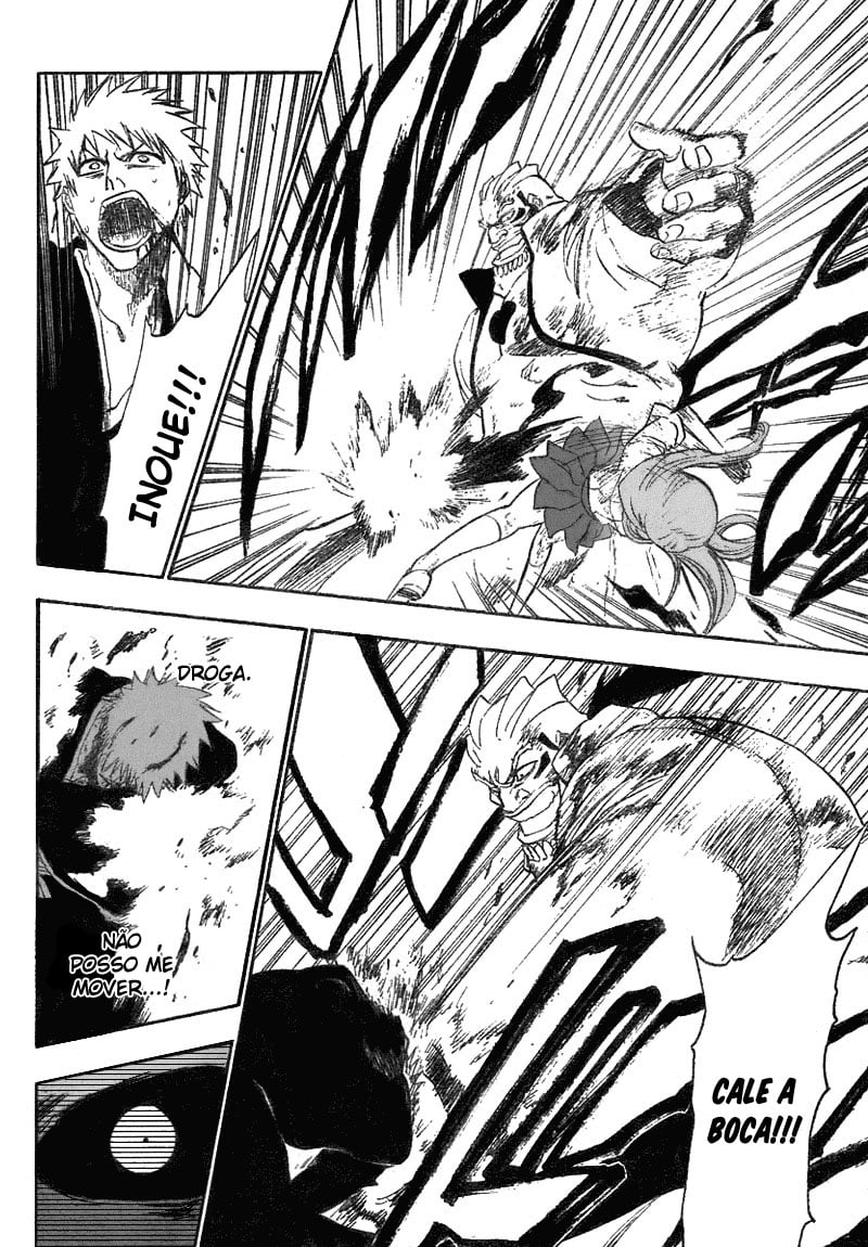 Bleach Capítulo 193 Página 17