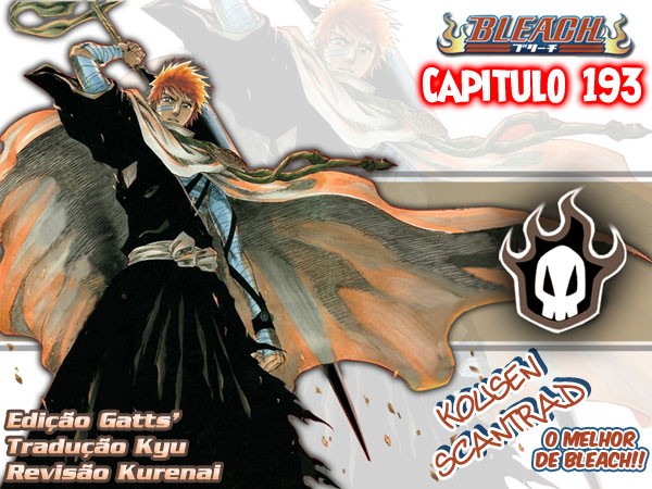 Bleach Capítulo 193 Página 22