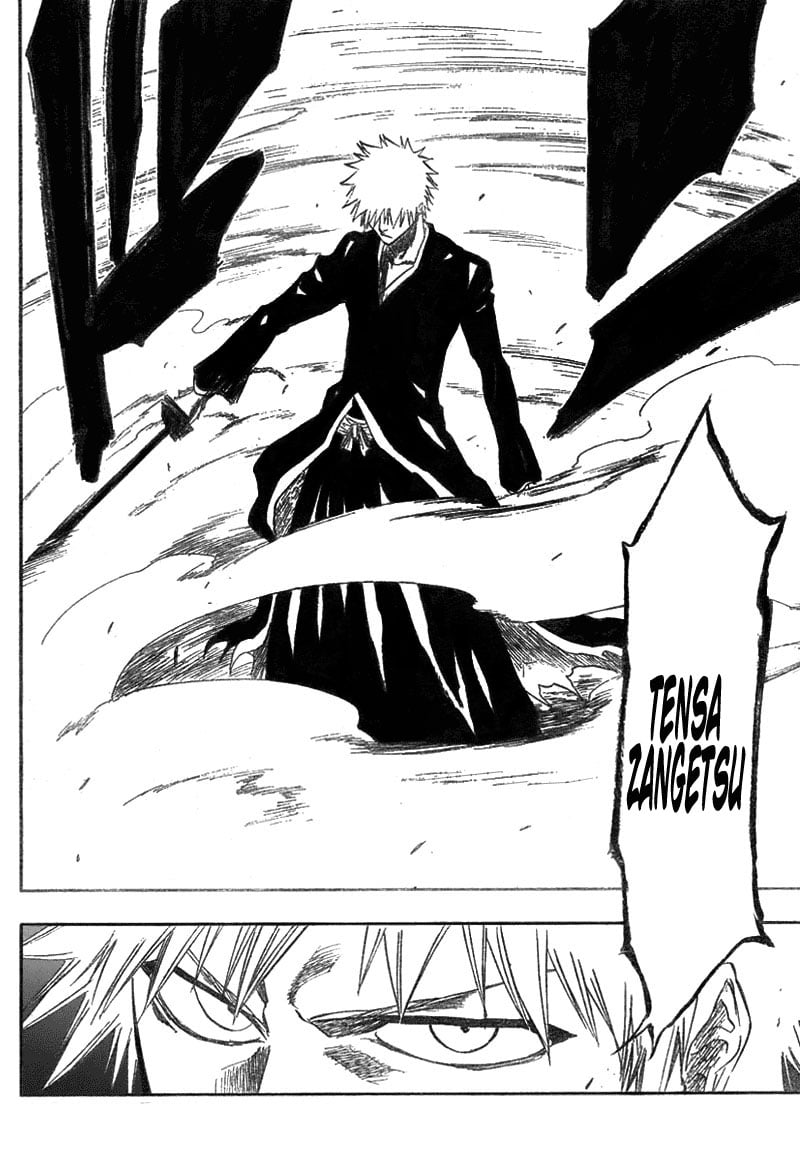 Bleach Capítulo 193 Página 5