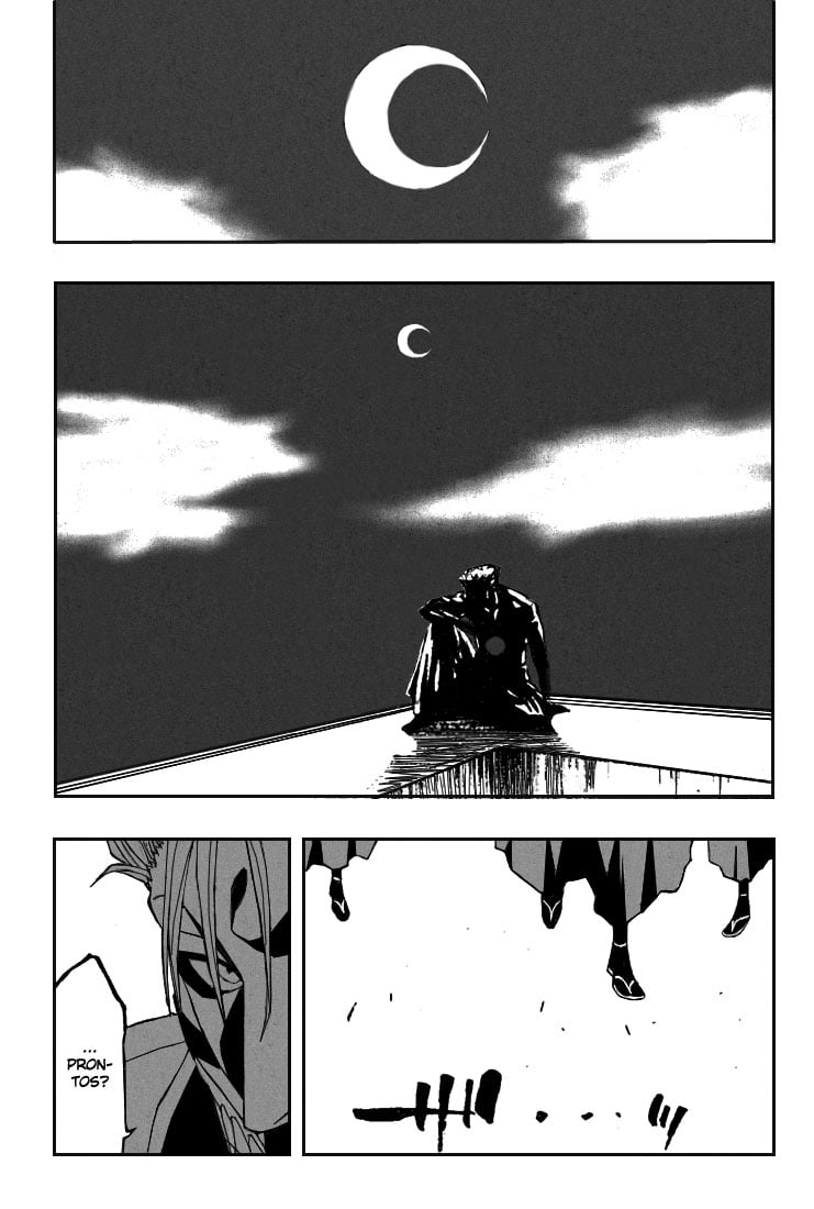Bleach Capítulo 199 Página 14