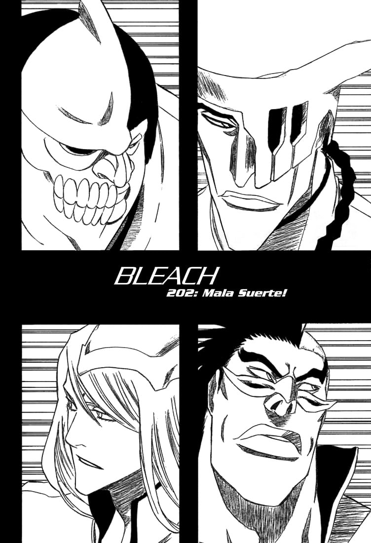 Bleach Capítulo 202 Página 8