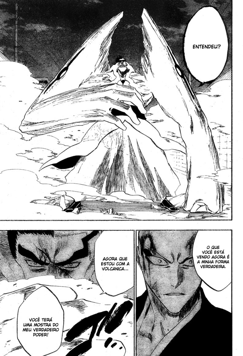 Bleach Capítulo 204 Página 10