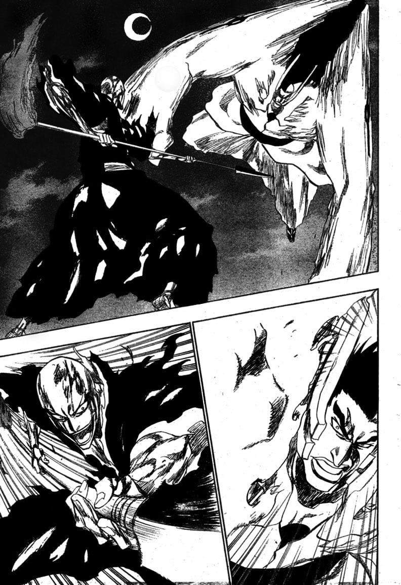 Bleach Capítulo 204 Página 16