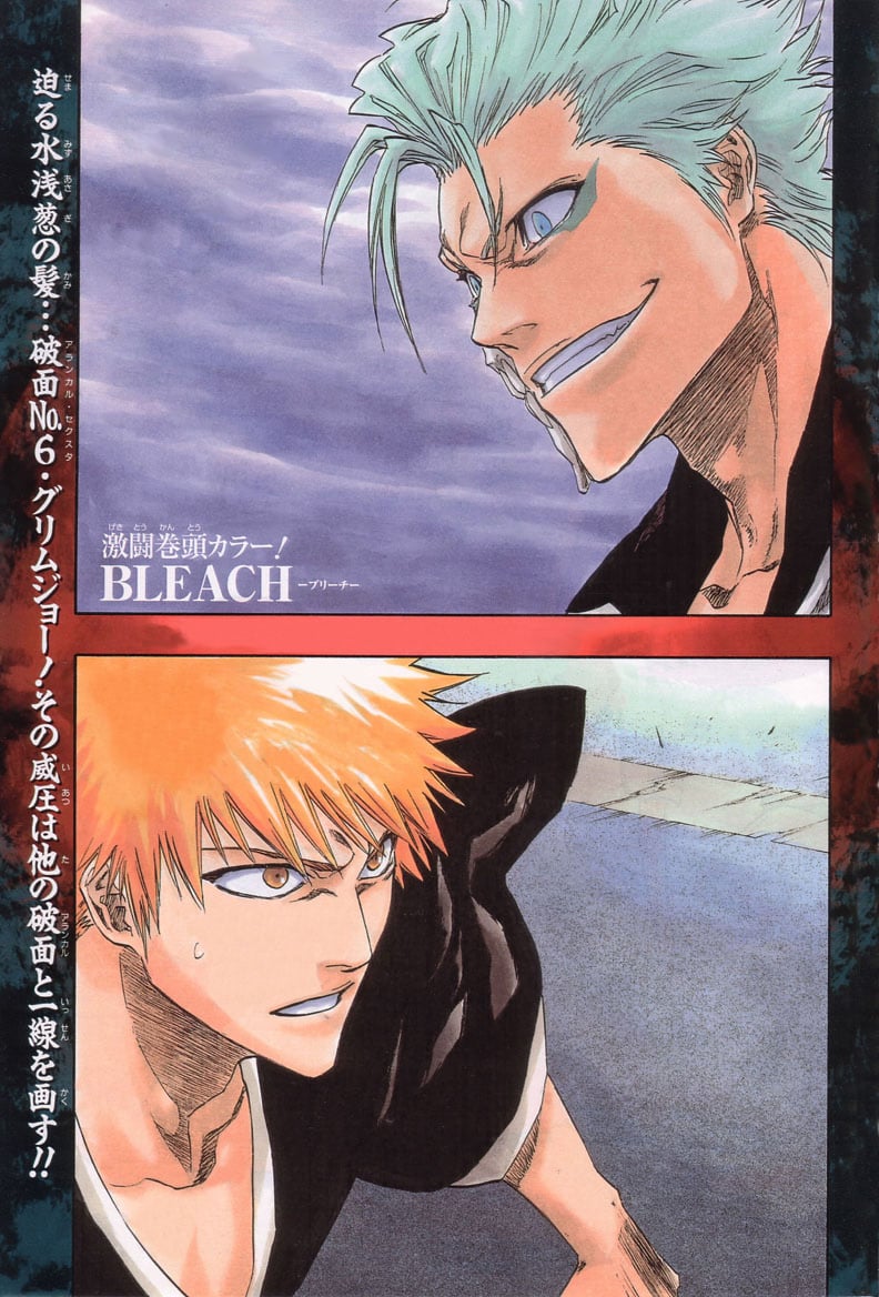 Bleach Capítulo 204 Página 2