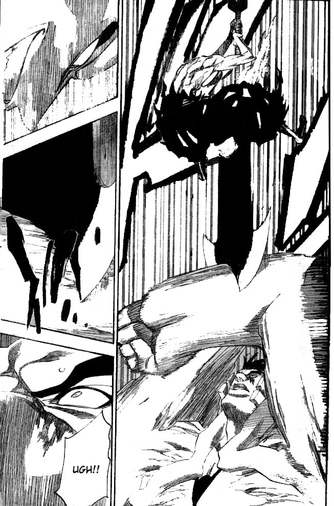 Bleach Capítulo 205 Página 12