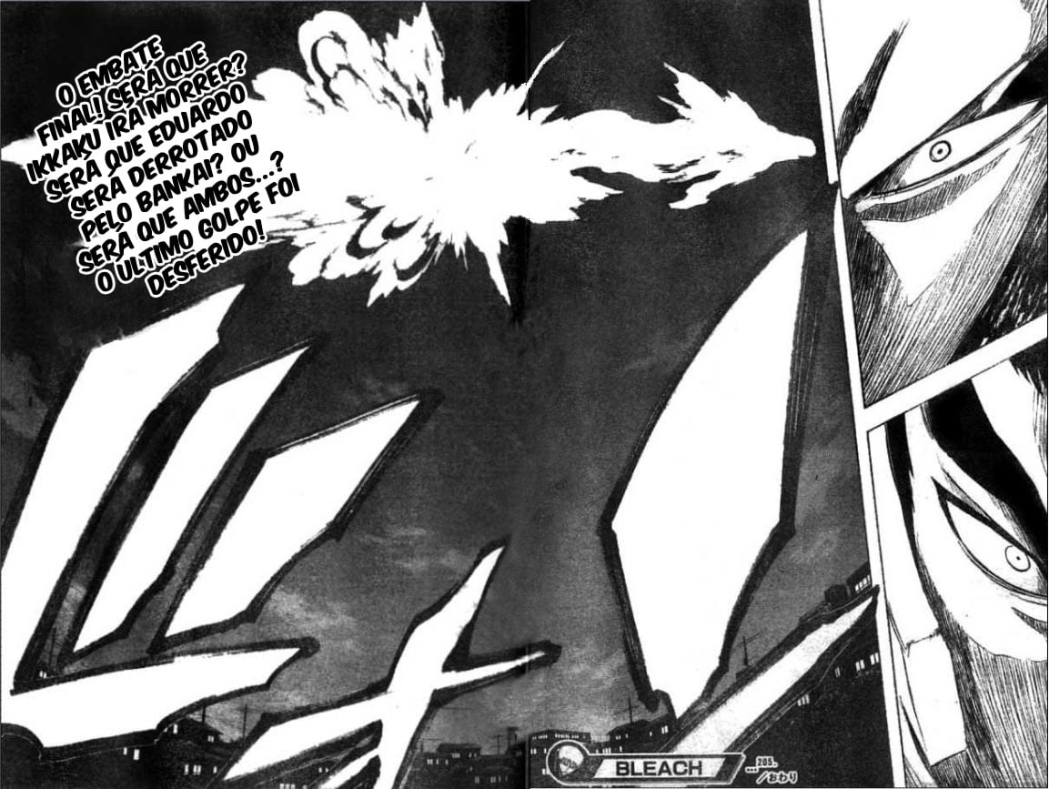Bleach Capítulo 205 Página 19