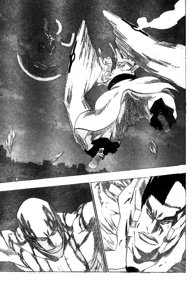 Bleach Capítulo 205 Página 8
